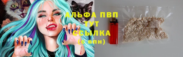 стаф Алексеевка