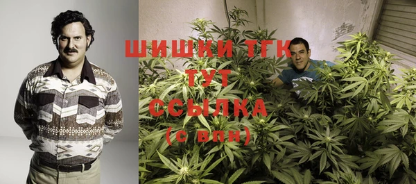 шишки Алексин