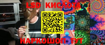 крисы Кулебаки