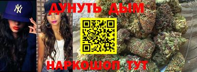 крисы Кулебаки