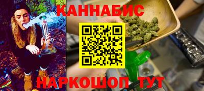 крисы Кулебаки