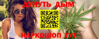 крисы Кулебаки