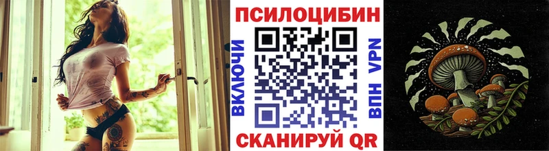 Галлюциногенные грибы Psilocybe Дедовск