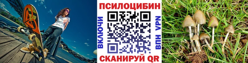 Галлюциногенные грибы Psilocybine cubensis  mega tor  Дедовск 