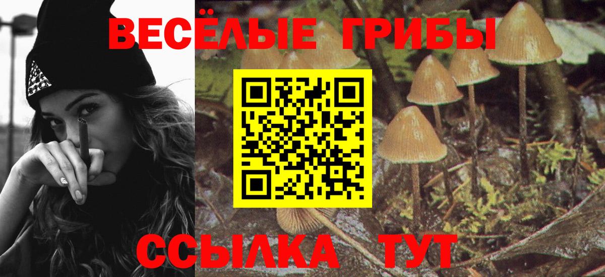 Дедовск  Галлюциногенные грибы прущие грибы  Вход с VPN  даркнет сайт  Галлюциногенные грибы Psilocybe 