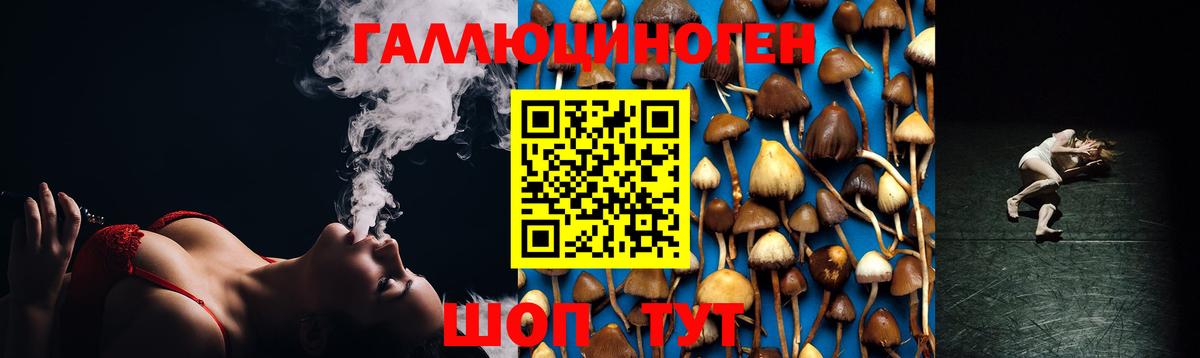 Псилоцибиновые грибы GOLDEN TEACHER Дедовск